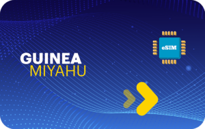 Guinee 3 GB - 30 Dagen
